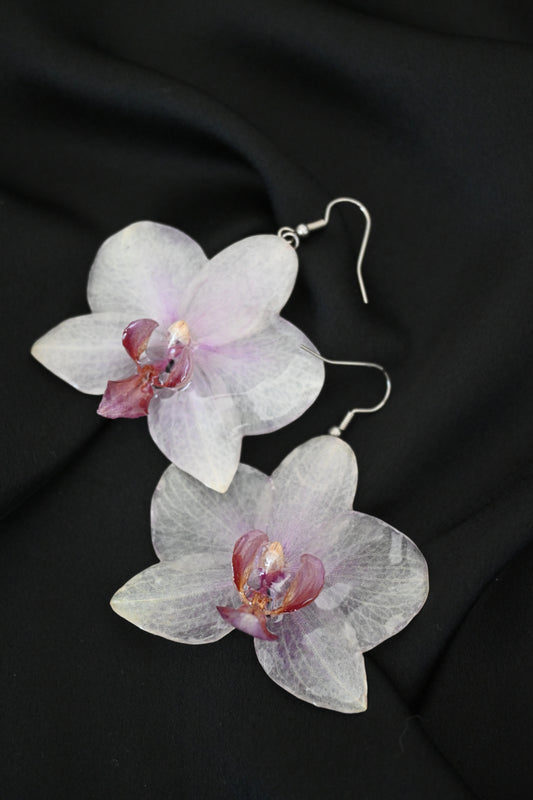 Orecchini con Vere Orchidee Phalaenopsis Sfumature viola