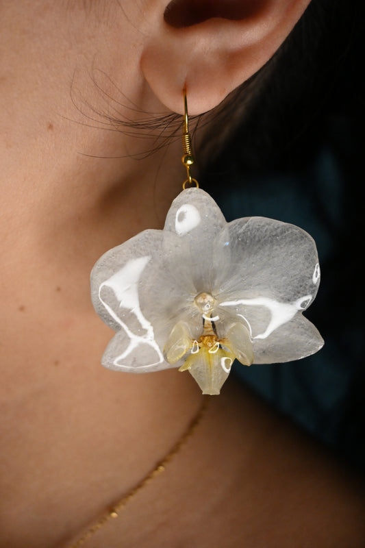 Orecchini con Orchidea Phalaenopsis Bianca