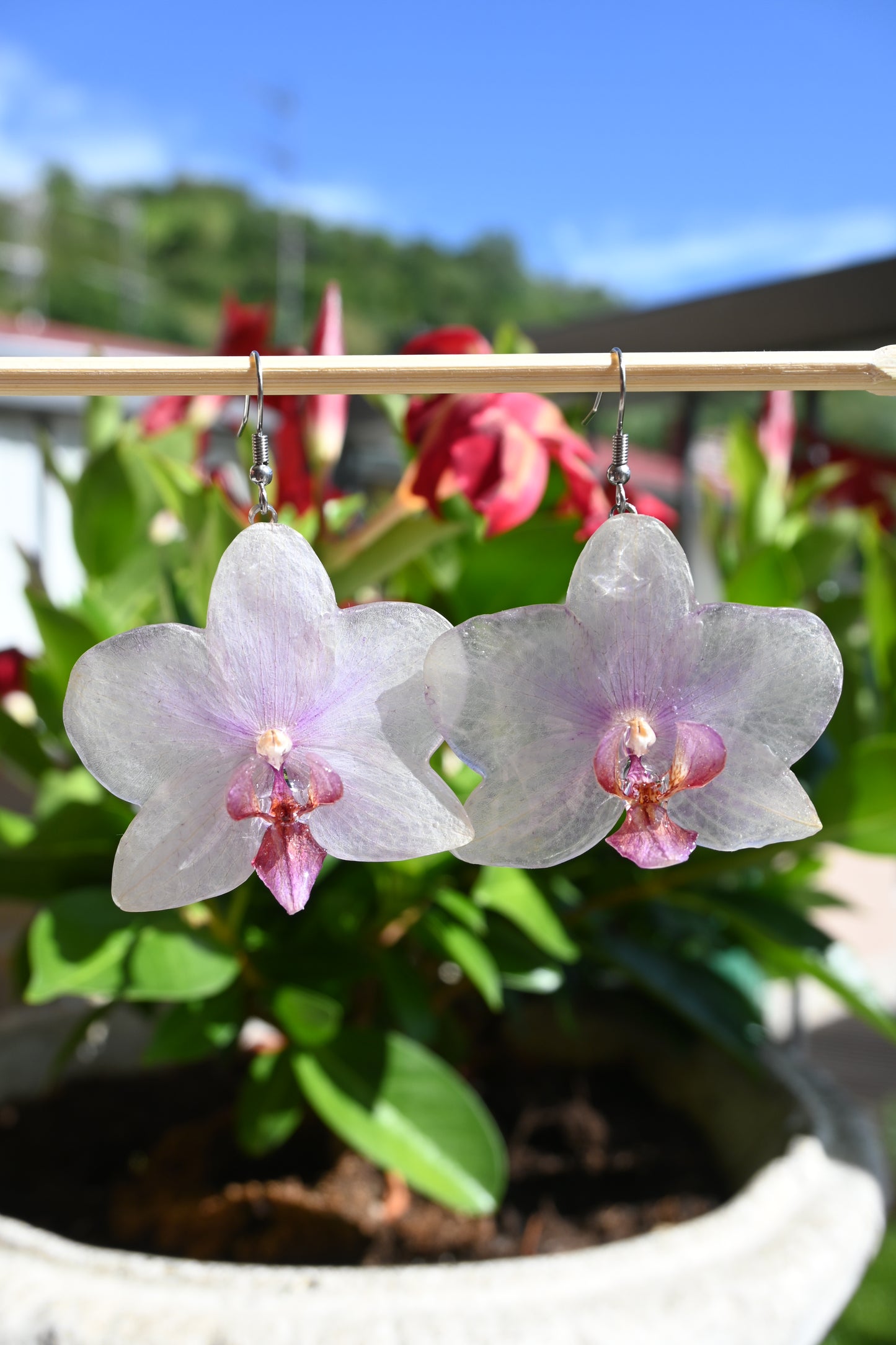 Orecchini con Vere Orchidee Phalaenopsis Sfumature viola