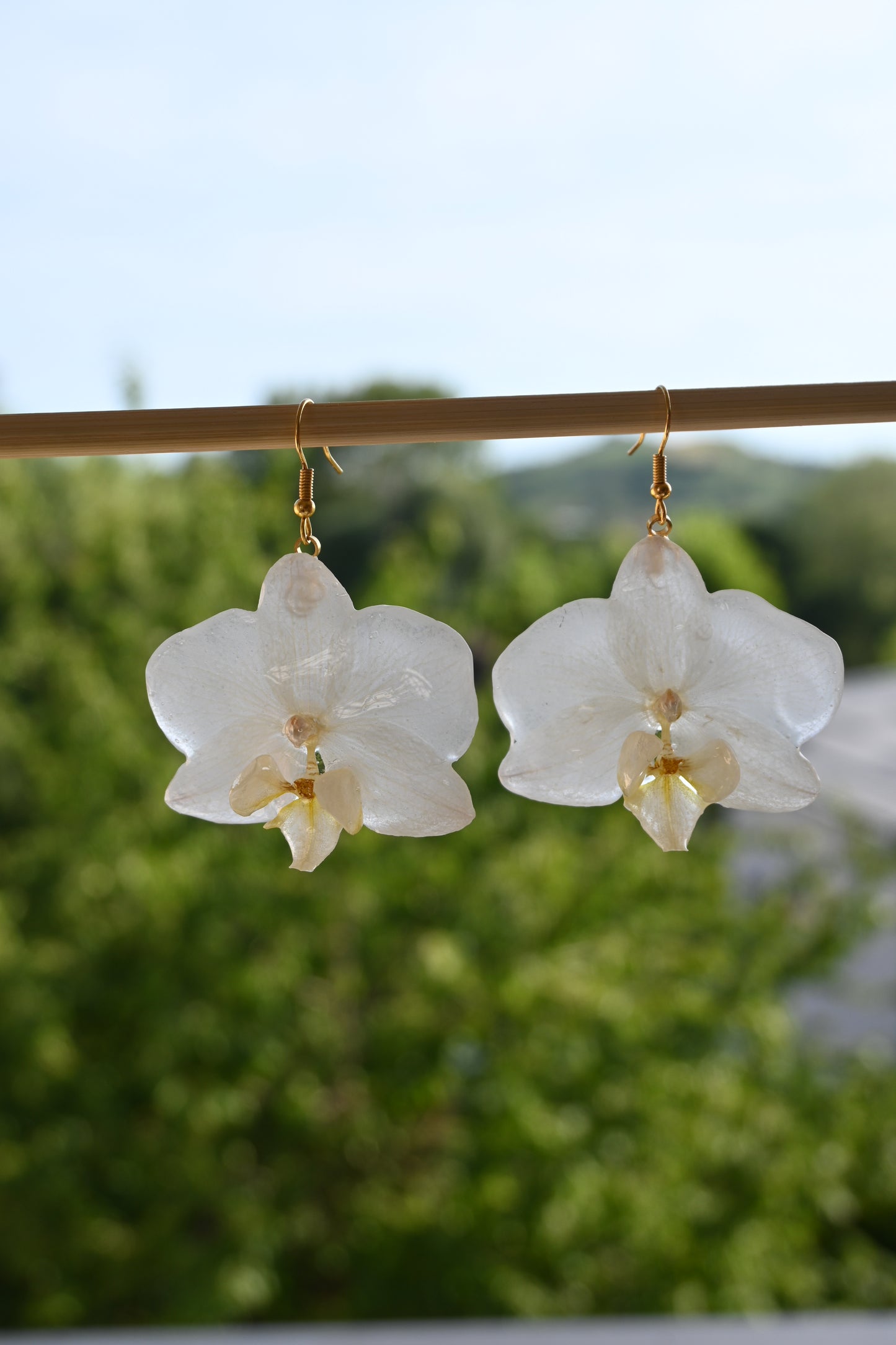 Orecchini con Orchidea Phalaenopsis Bianca